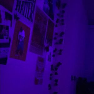 Meet your Posher, Gracelyn